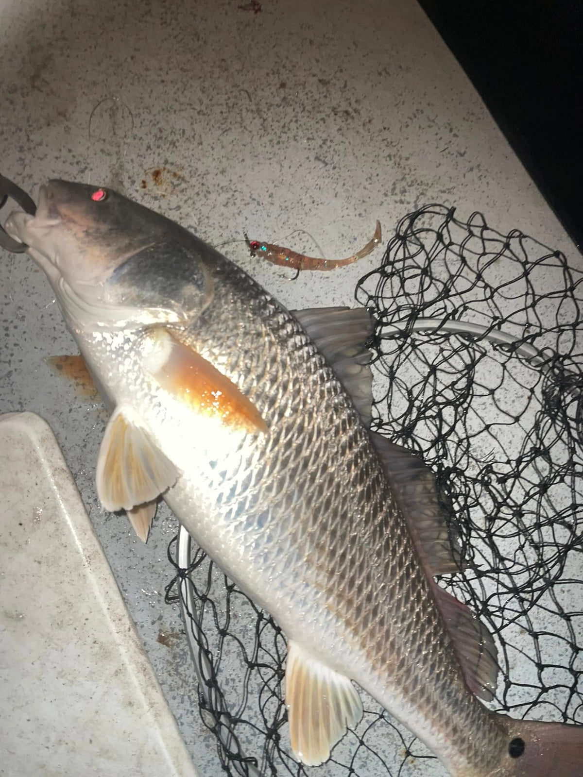 3.25" Glass Minnow With Built-In Tail Rattle