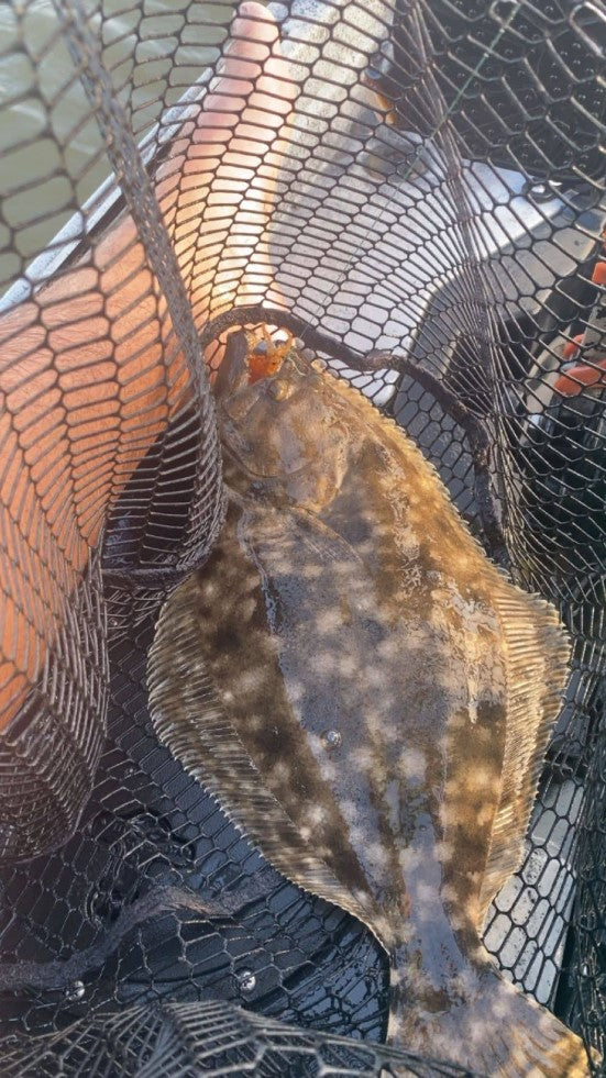3.25" Baby Trout With Built-In Tail Rattle