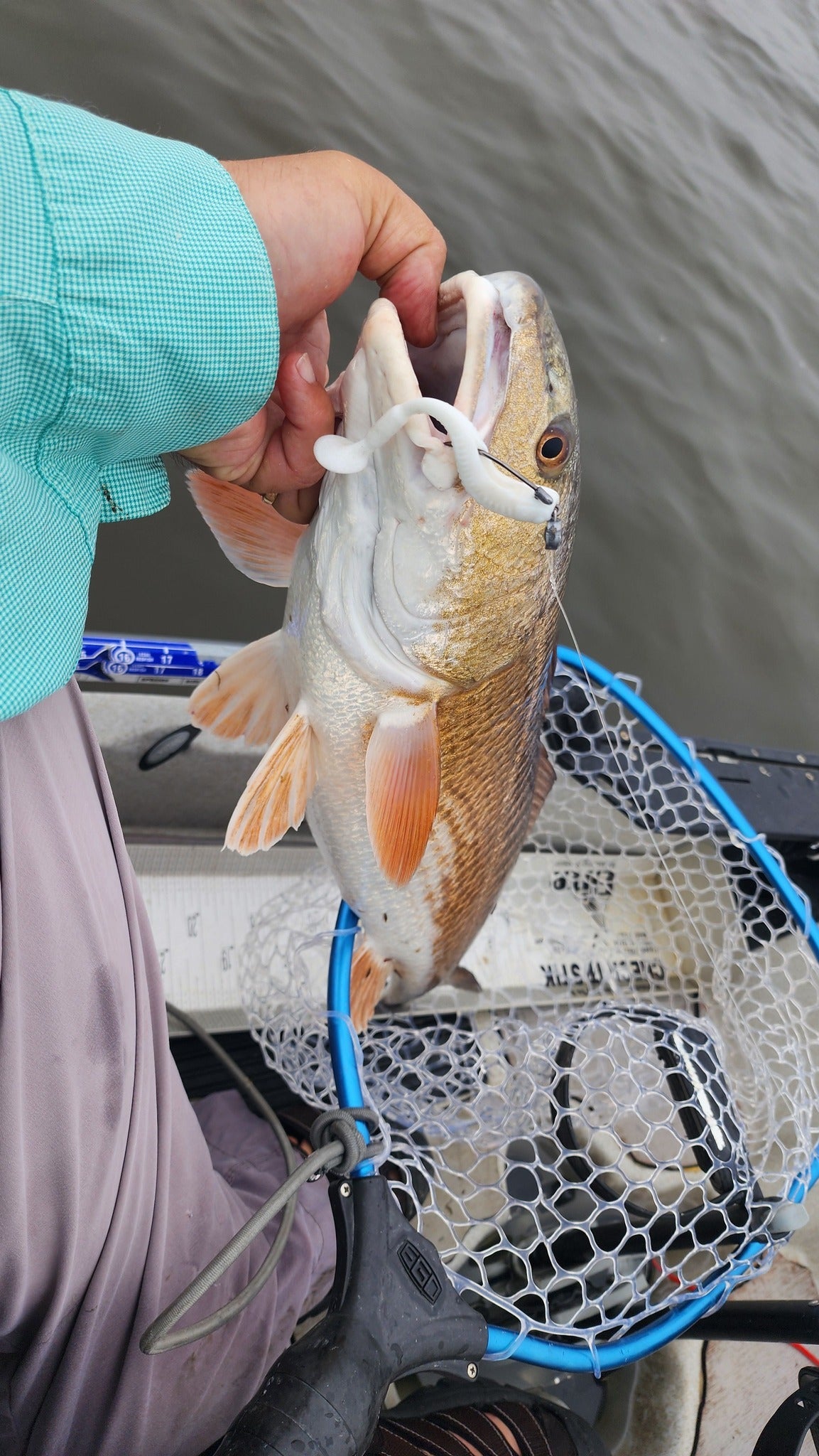 4" Pearl OR 5" Pearl With Built-In Tail Rattle