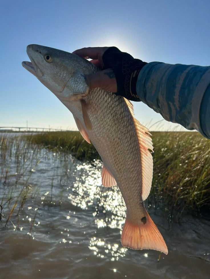 4" Magic Grass With Built-In Tail Rattle
