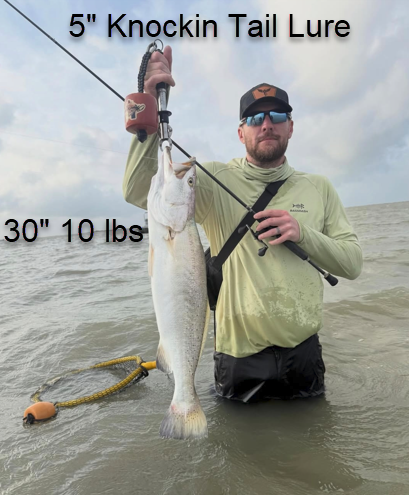 5" Halloween With Built-In Tail Rattle