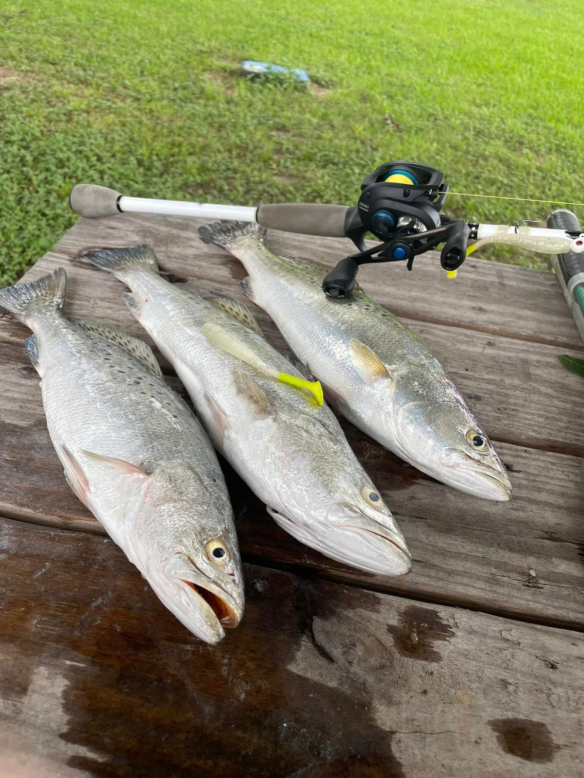 3.25" Nuked Glow With Built-In Tail Rattle