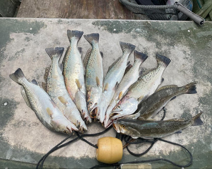 5" Smoke Shad With Built-In Tail Rattle