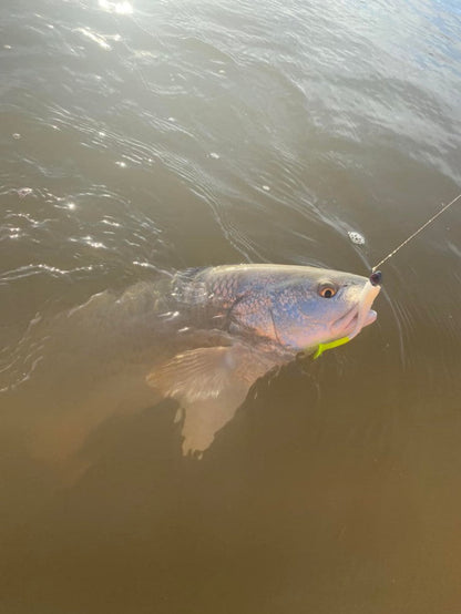 3.25" Baby Trout With Built-In Tail Rattle