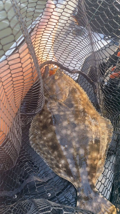 3.25" Baby Trout With Built-In Tail Rattle