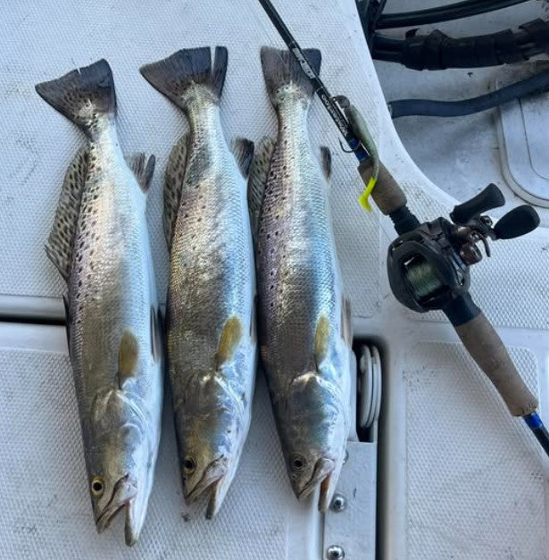 4" Pearl OR 5" Pearl With Built-In Tail Rattle