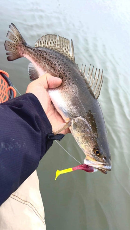 5" Halloween With Built-In Tail Rattle